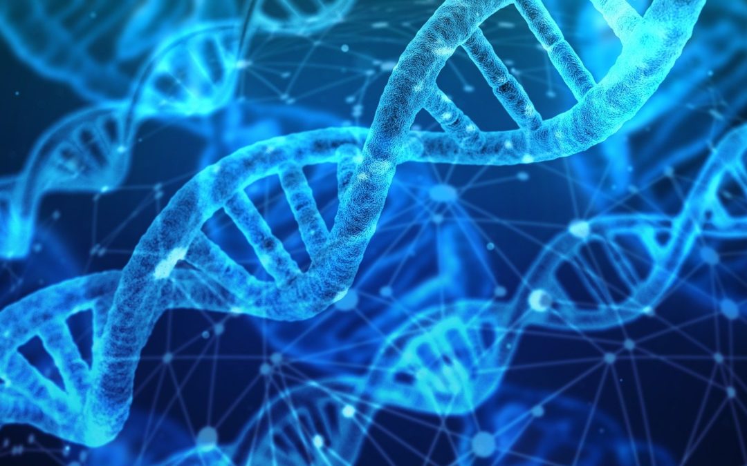 Genetics Realities and What you Can Do about it